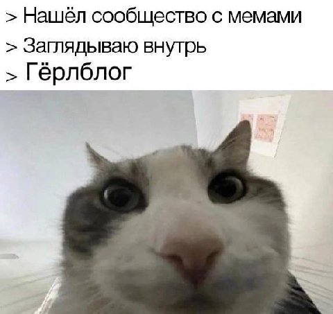 Нашёл сообщество с мемами Заглядываю внутрь