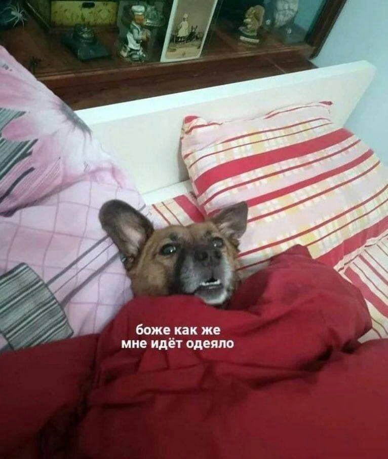 к боже как же мне идет одеяло