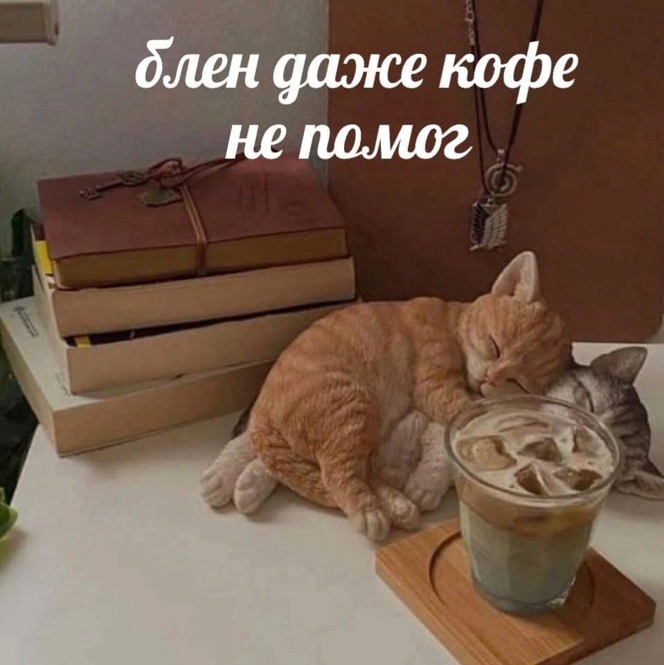 понедельник 🤟🏼