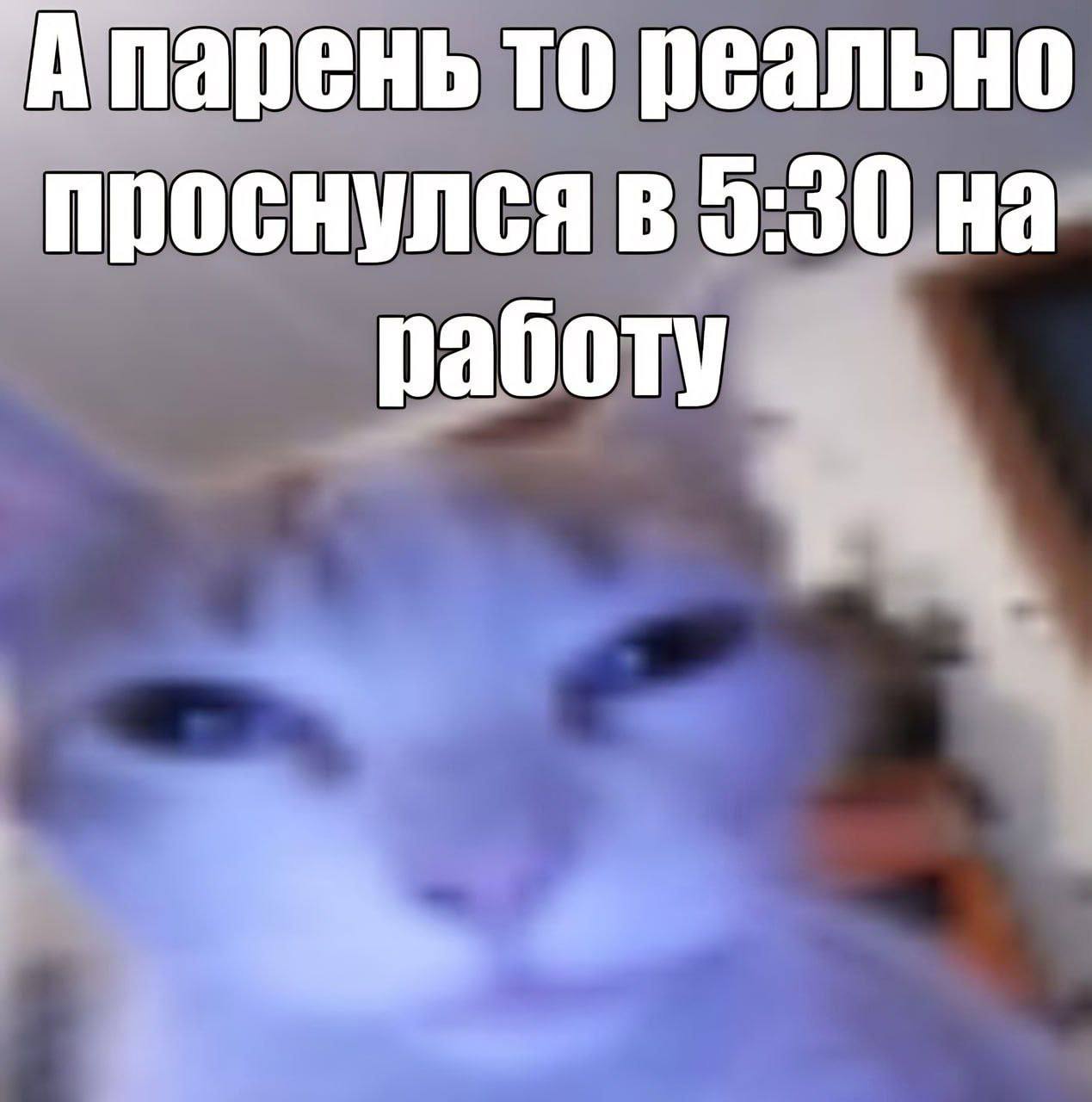 то реально проснулся в 5:30 на работу
