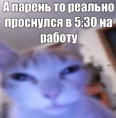 то реально проснулся в 5:30 на работу