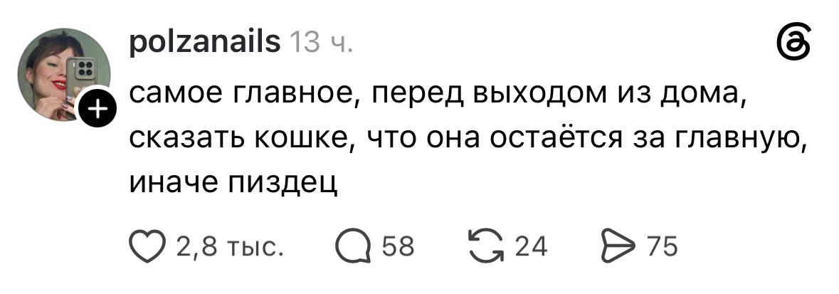 polzanails 13 самое главное, перед выходом из дома, сказать кошке, что она остаётся за главную, иначе пиздец 2,8 тыс 58 24 75