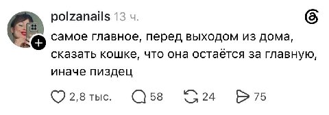 polzanails 13 самое главное, перед выходом из дома, сказать кошке, что она остаётся за главную, иначе пиздец 2,8 тыс 58 24 75