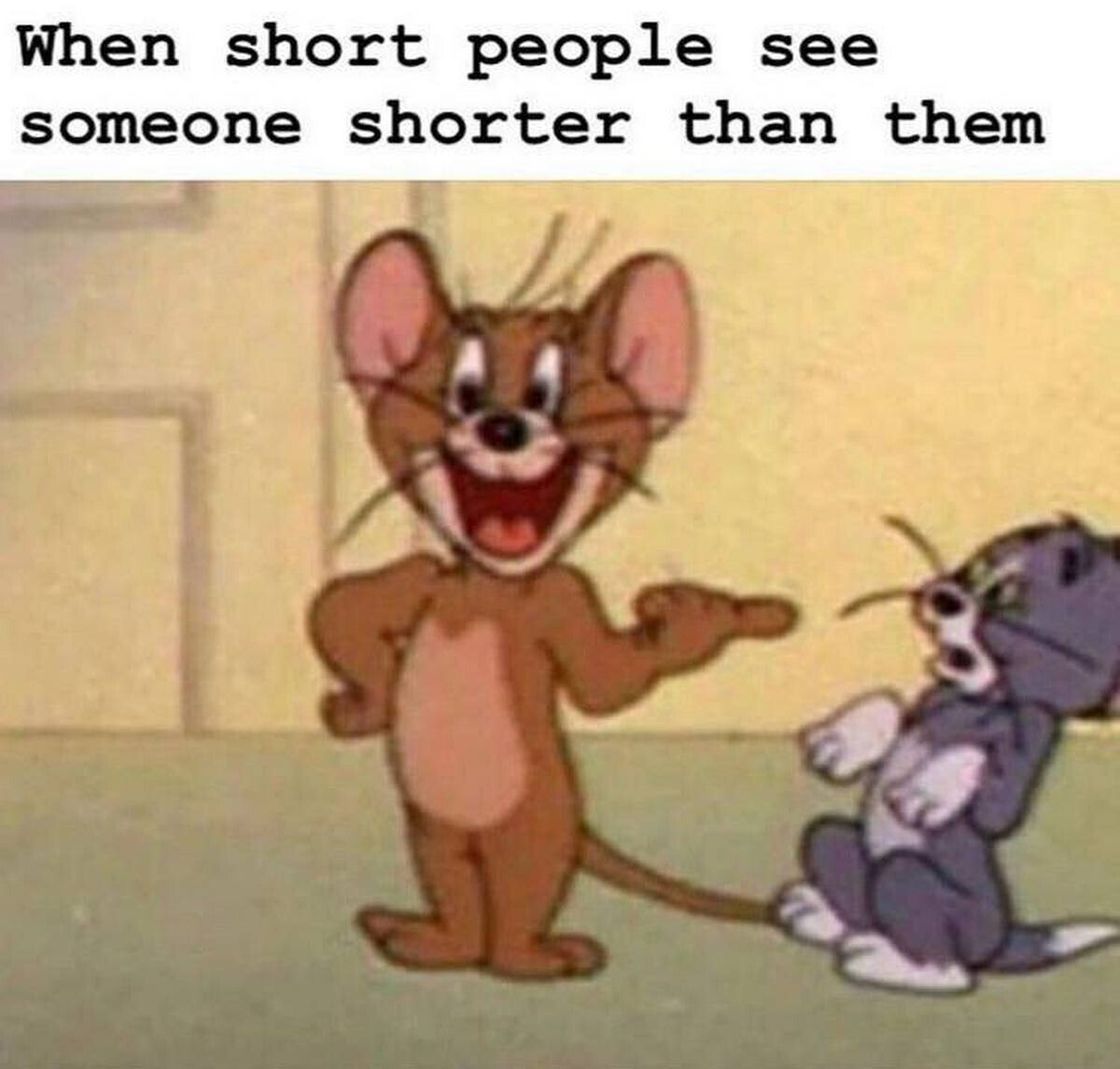 When short people see someone shorter than them 2 4