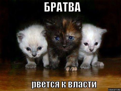 БРАТВА овется