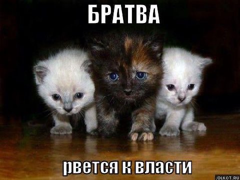 БРАТВА овется