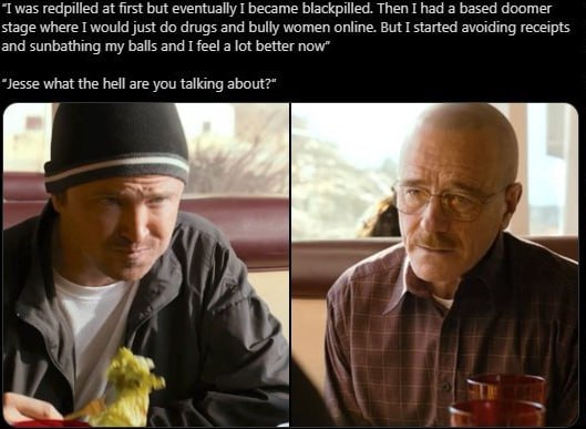 “I was redpilled at first but eventually I became blackpilled. Then I had а based doomer stage where I would just drugs and bully women online. But I started avoiding receipts and sunbathing my balls 
