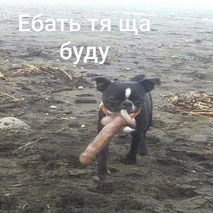 yan Gnu В О 9 a В