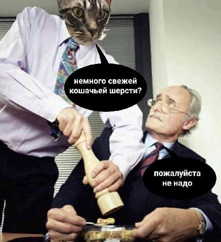 немного свежей кошачьей шерсти? пожалуйста не надо