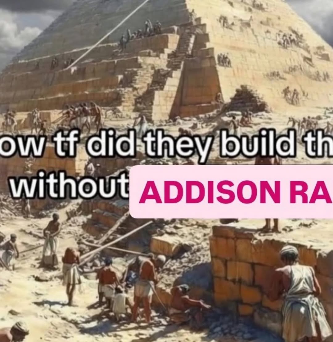 №5 did: they. without ADDISON