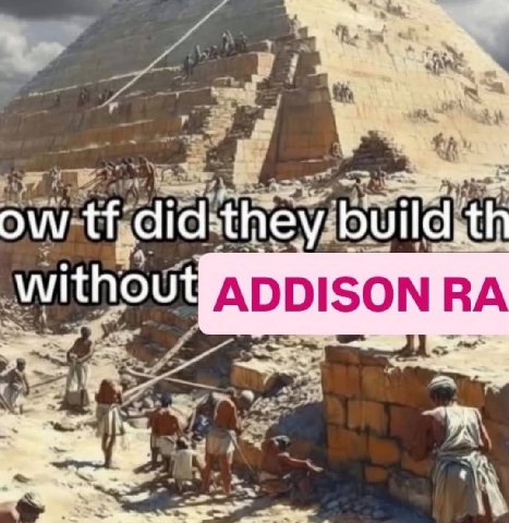 №5 did: they. without ADDISON
