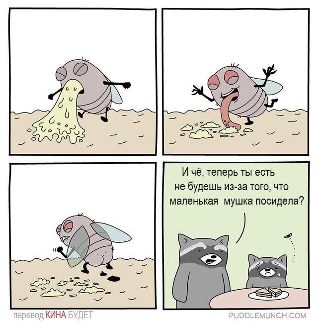 И чё, теперь ты есть не будешь из-за того, что маленькая мушка посидела? Poke ере КИНА