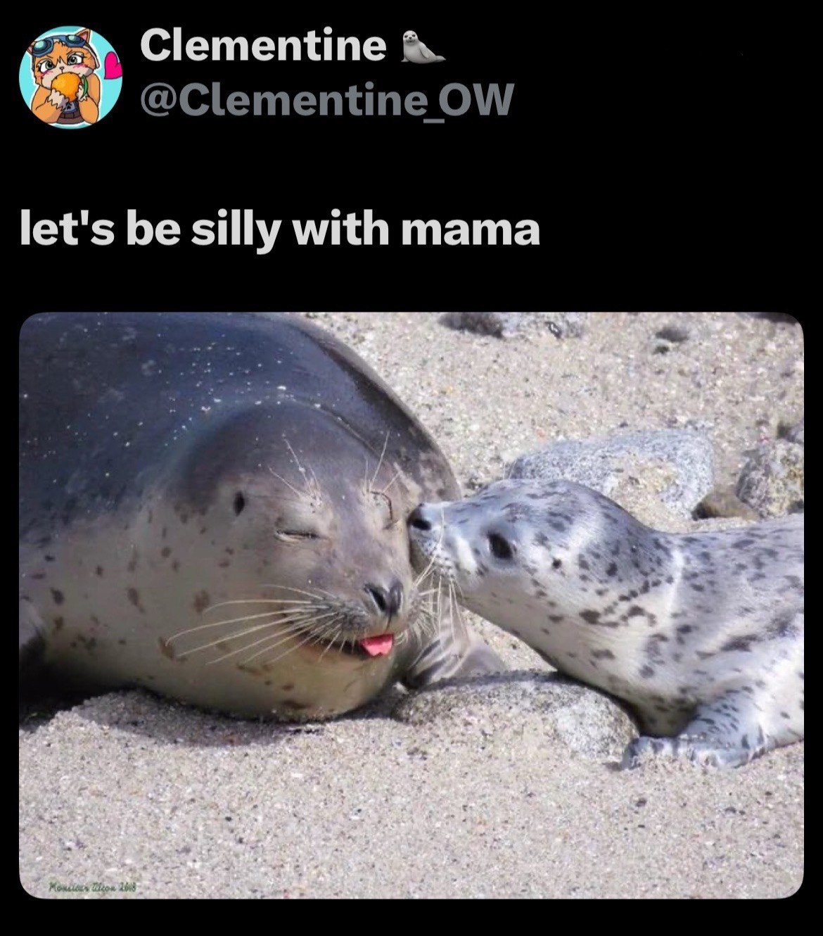 Clementine @Clementine let's be silly with mama