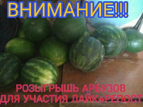 ДЛЯ УЧАСТИЯ