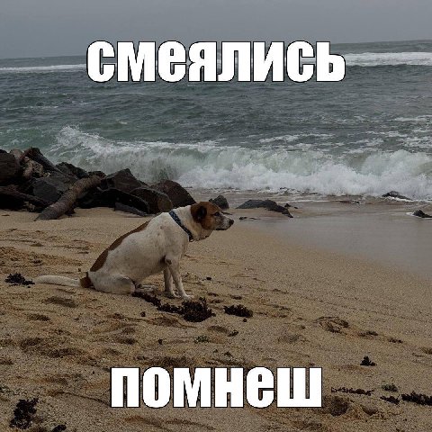 смеялись помнеш
