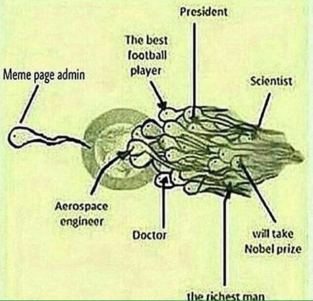 President The best football Meme page admin player Scientist Doctor will take Nobel prize