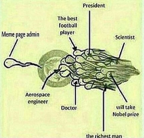 President The best football Meme page admin player Scientist Doctor will take Nobel prize