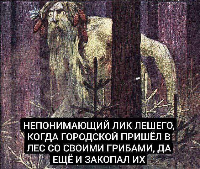 if 2 НЕПОНИМАЮЩИЙ ЛИК ЛЕШЕГО, КОГДА ГОРОДСКОЙ ПРИШЁЛ В! ЛЕС СВОИМИ ГРИБАМИ, ДА, ЕЩЁ И ЗАКОПАЛ
