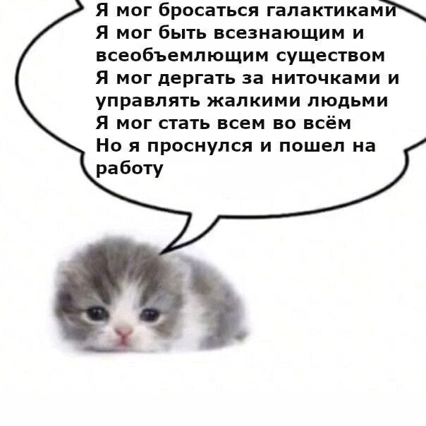Я мог бросаться Я мог быть всезнающим и всеобъемлющим существом Я мог дергать за ниточками и управлять жалкими людьми Я мог стать всем во всём Но я проснулся и пошел на работу
