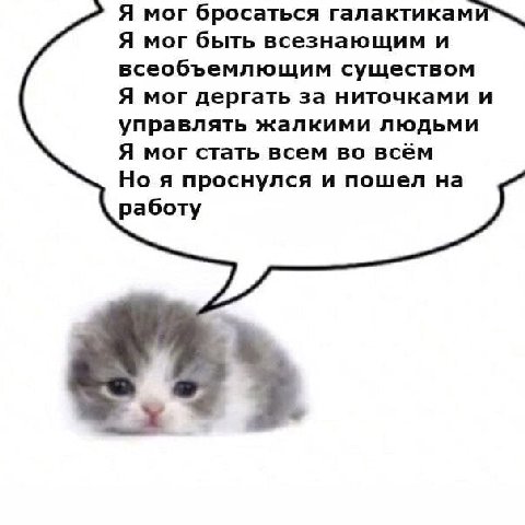 Я мог бросаться Я мог быть всезнающим и всеобъемлющим существом Я мог дергать за ниточками и управлять жалкими людьми Я мог стать всем во всём Но я проснулся и пошел на работу