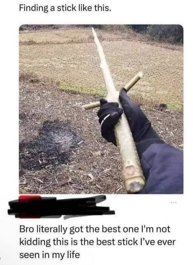 Finding a stick like this. i 3¥ к Bro literally got the best one not kidding this is the best stick I’ve ever seen in my life