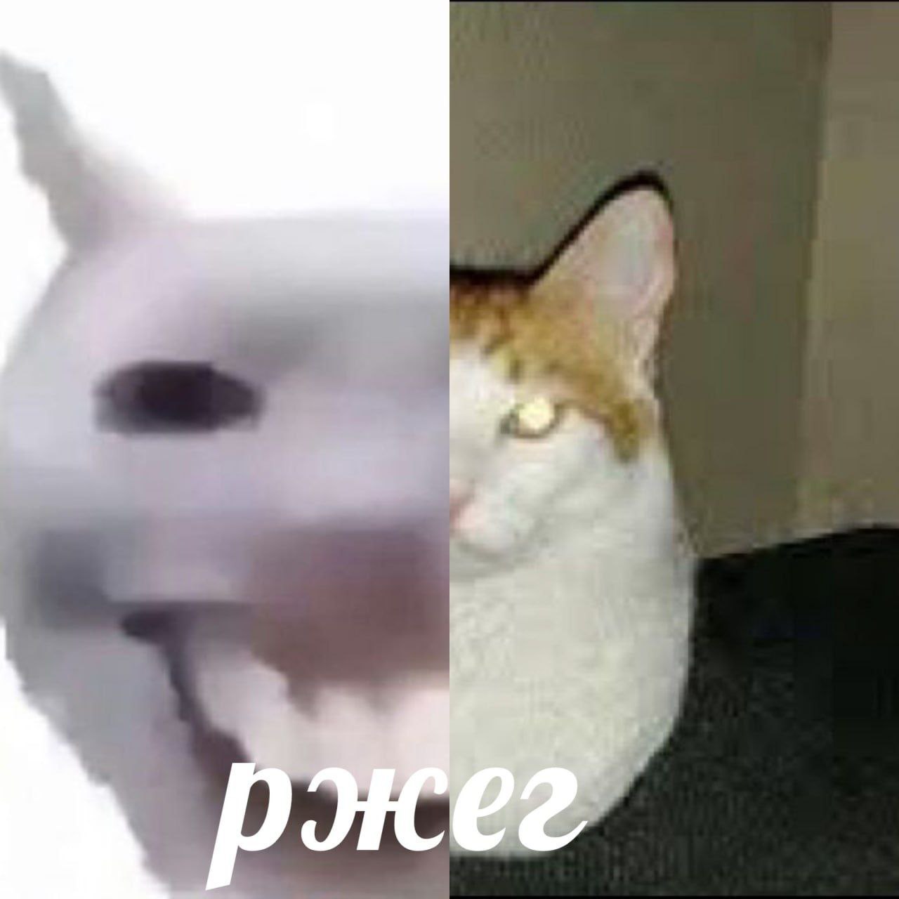 = & | ‘ ы