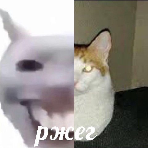 = & | ‘ ы