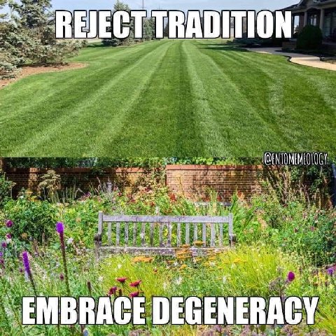 TRAD ТО 2 a wes at я in у on 3. 4 .у MBRACE ЕВАС
