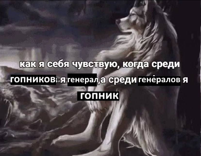 1 как я себя чувствую, когда среди ГОПНИКОВ; A генерал, а среди генералов Я гопник