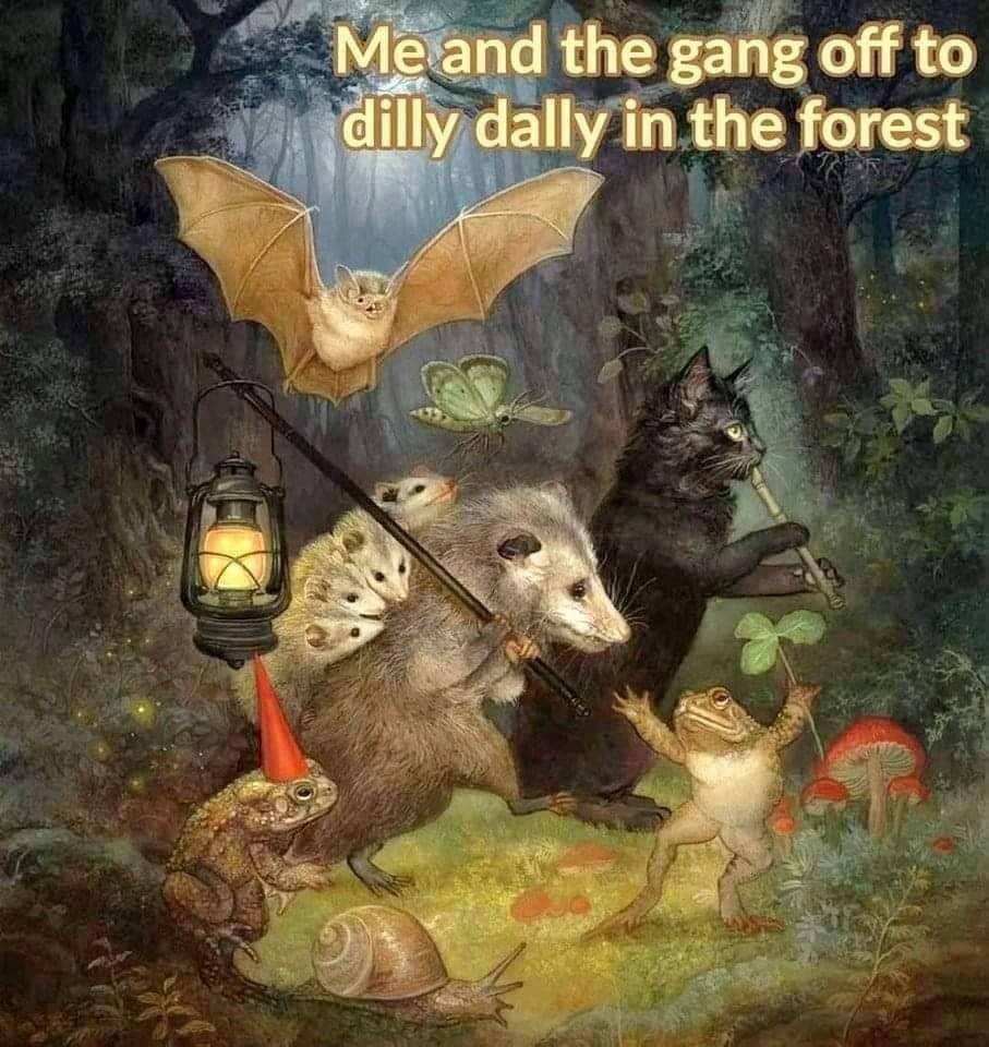 Me.and the gang off to dilly dally in the forest