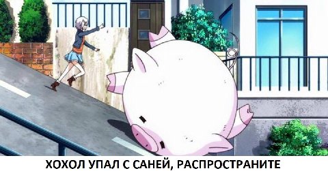 2 i 4 ХОХОЛ УПАЛ С САНЕИ, РАСПРОСТРАНИТЕ