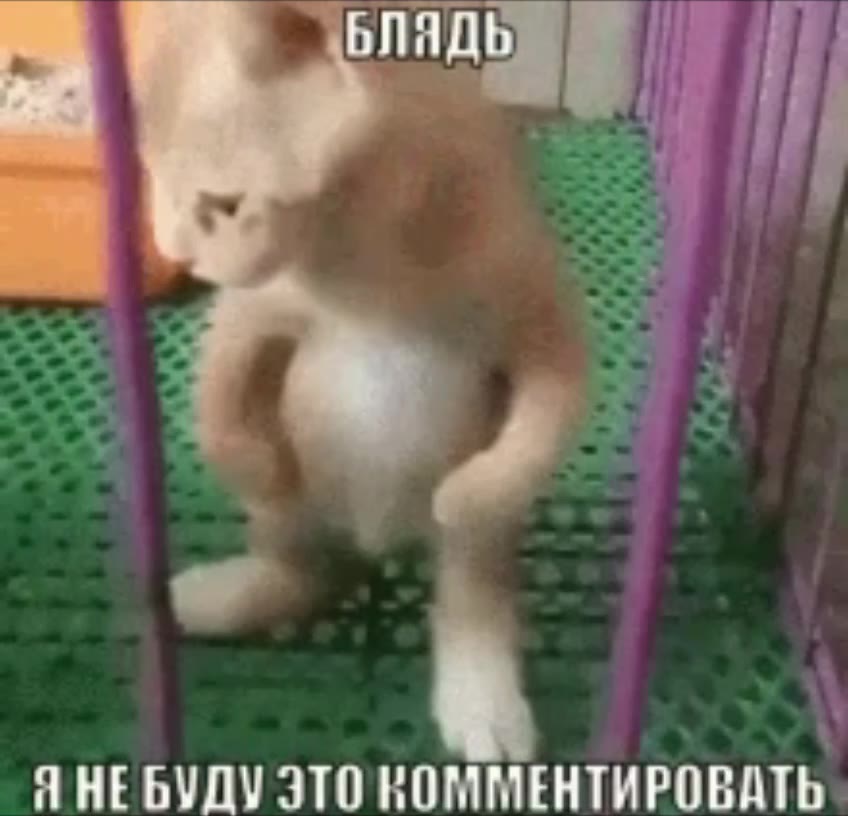 Я НЕБУДУ ЭТО КОММЕНТИРОВАТЬ |
