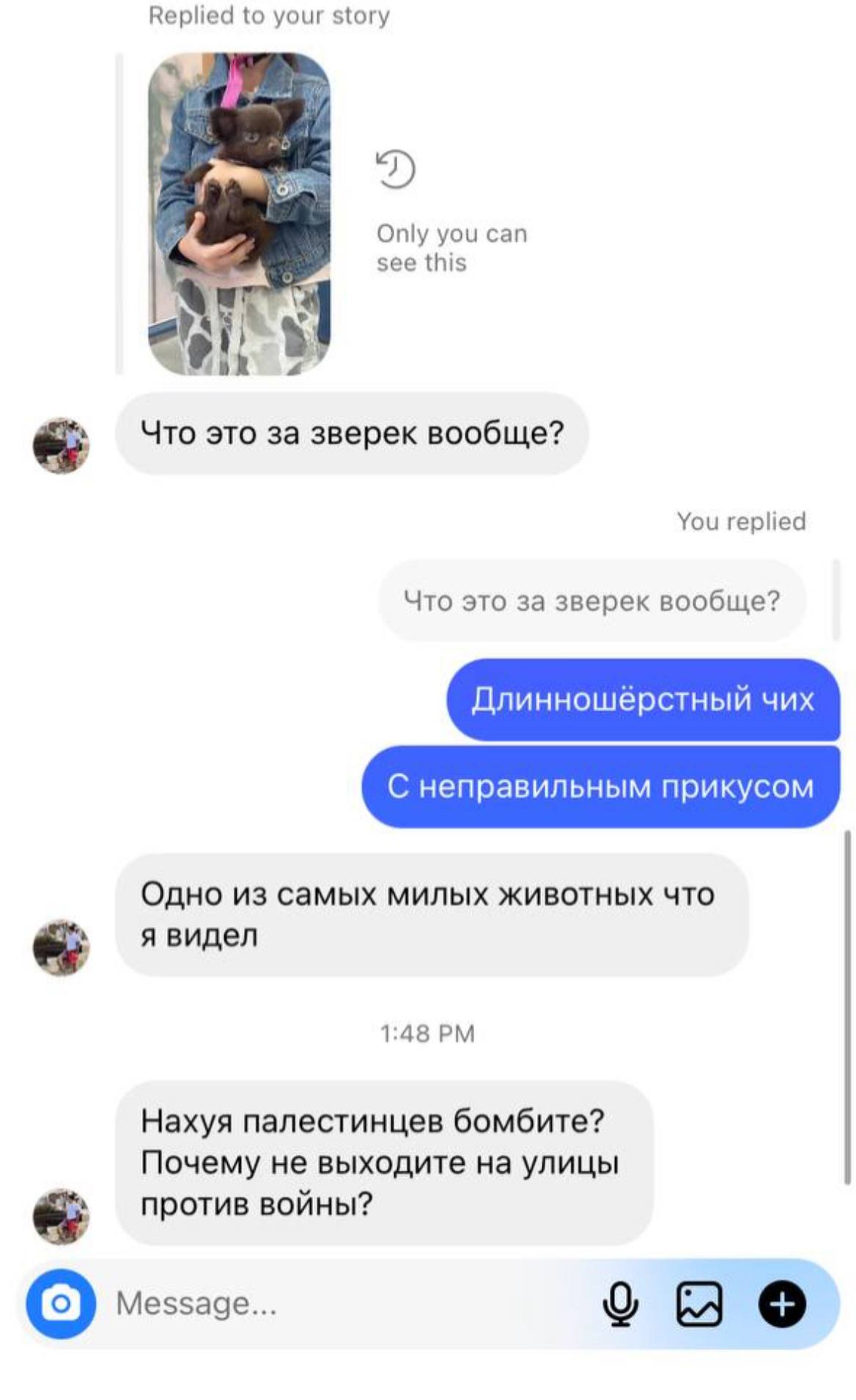 Replied to your story Only you can see this 2) у Что это за зверек вообще? You replied Что это за зверек вообще? Длинношёрстный чих С неправильным прикусом Одно из самых милых животных что я видел 1:4