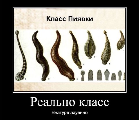 Класс Пиявки Реально класс Внатуре ахуенно