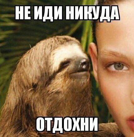 НЕИДИ НИКУДА отдохни