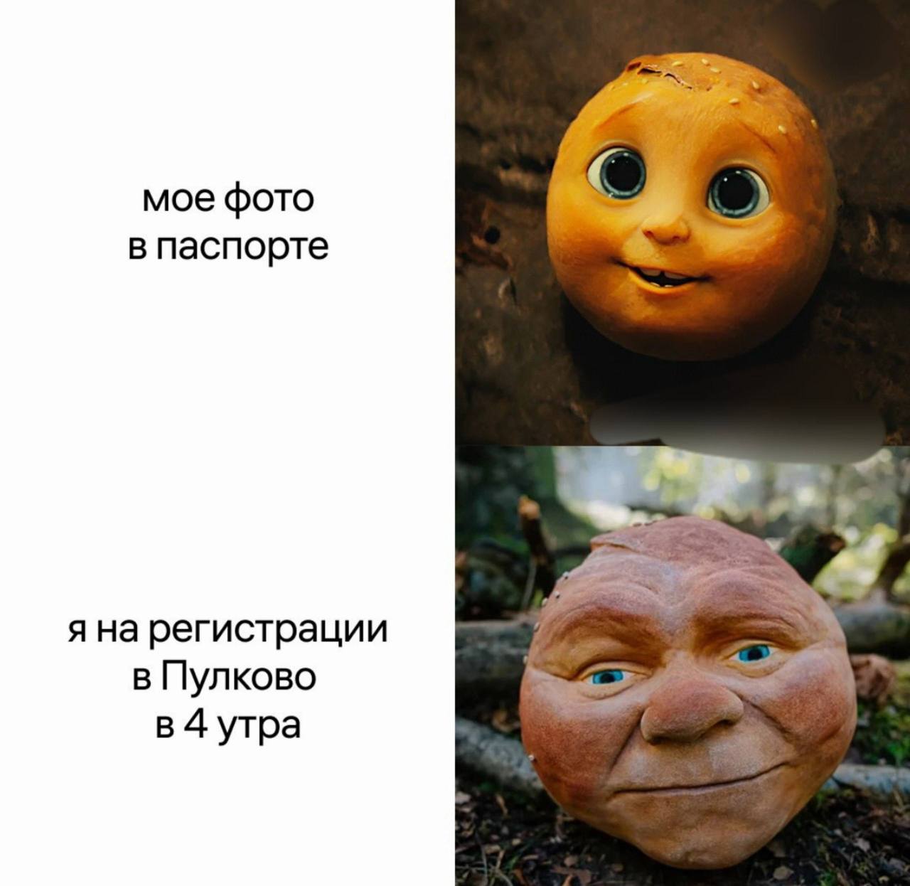 мое фото в паспорте я на регистрации в Пулково в 4 утра