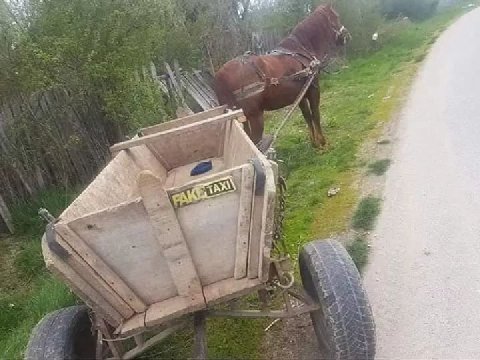 a A 4 у