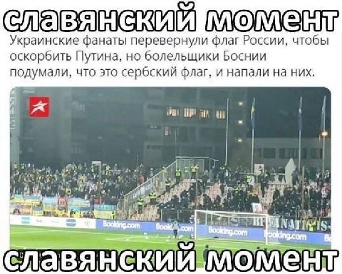 Украинские фанаты перевернули флаг России, чтобы оскорбить Путина, но болельщики Боснии подумали, что это сербский флаг, и напали на них.