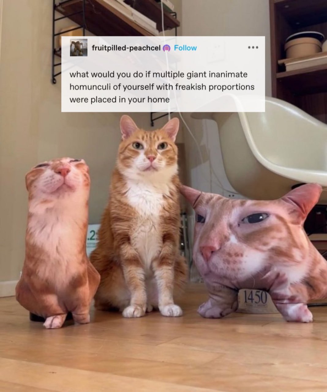 Я fruitpilled-peachce! Follow what would you if multiple giant inanimate homunculi of yourself with freakish proportions were placed in your home