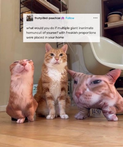 Я fruitpilled-peachce! Follow what would you if multiple giant inanimate homunculi of yourself with freakish proportions were placed in your home