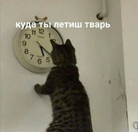 куда ты летиш тварь