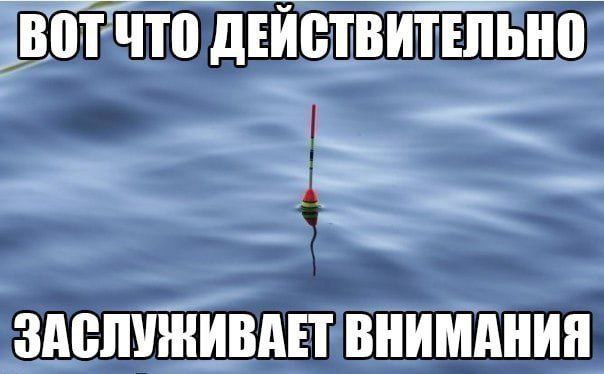ВОТ ЧТО ДЕЙСТВИТЕЛЬНО ЗАСЛУЖИВАЕТ ВНИМАНИЯ