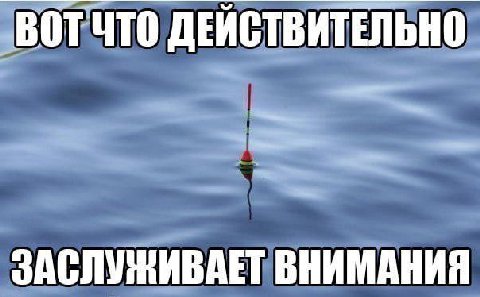 ВОТ ЧТО ДЕЙСТВИТЕЛЬНО ЗАСЛУЖИВАЕТ ВНИМАНИЯ