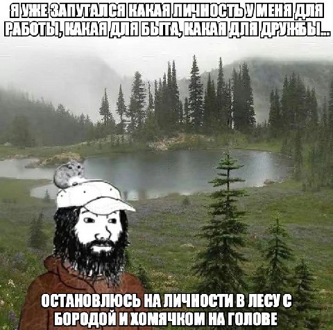 КАКАЯ ДЛЯ ОСТАНОВЛЮСЬ НА ЛИЧНОСТИ В ЛЕСУ С БОРОДОЙ И ХОМЯЧКОМ НА ГОЛОВЕ