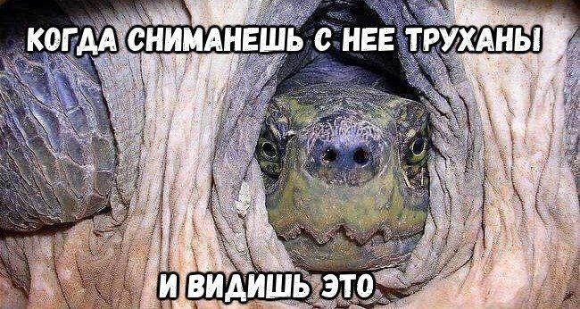 СНИМАНЕШЬ С НЕЕ ТРУХАНЬ! ког ДА 4 tre 1&6 3 Я И ВИДИШЬ это
