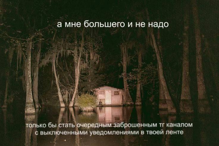 а мне большего и не надо 4 4 только бы стать очередным заброшенным каналом с выключенными уведомпениями в твоси ленте