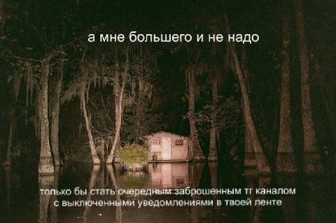 а мне большего и не надо 4 4 только бы стать очередным заброшенным каналом с выключенными уведомпениями в твоси ленте