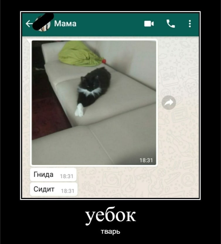 Мама Гнида Сидит уебок тварь