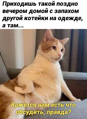 Приходишь такой поздно вечером домой с запахом другой котейки на одежде, а там... Кажется нам есть что обсудить, правда?