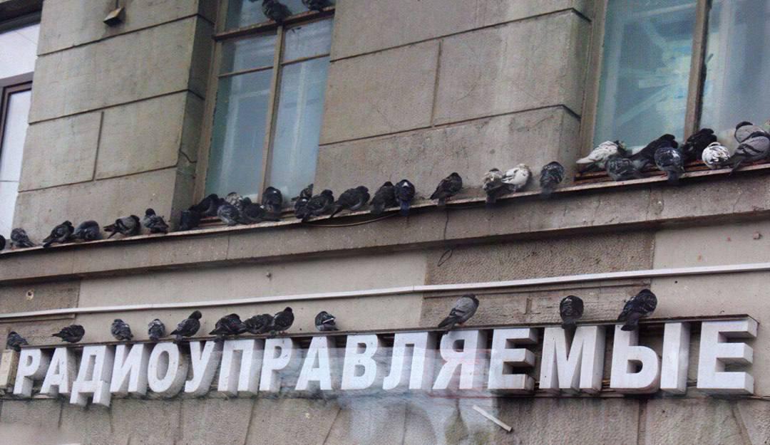 РАДИОУПРАВЛЯЕМ